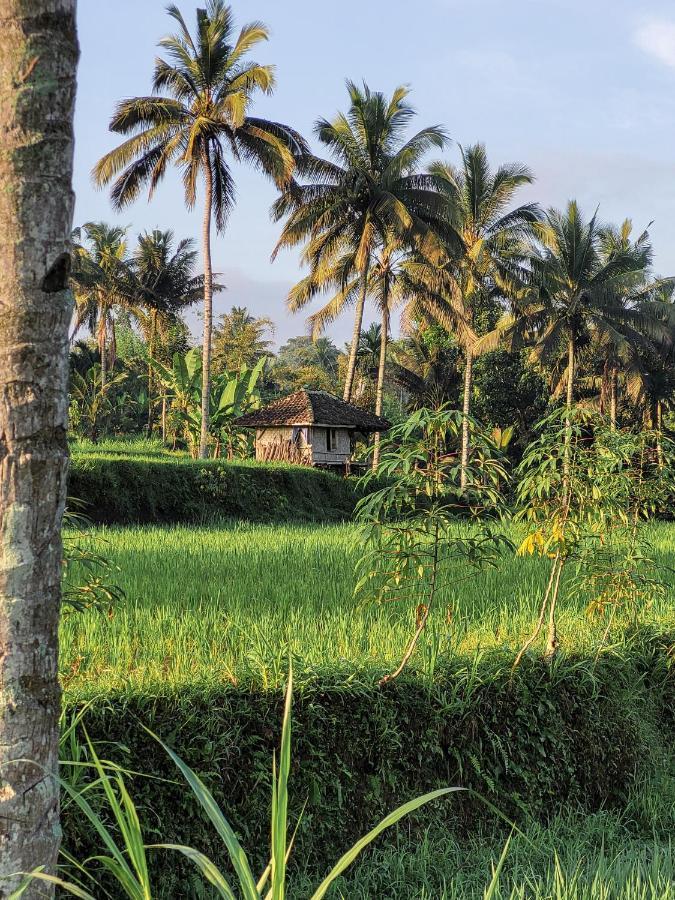Les Rizieres Lombok - Tetebatu Hotel ภายนอก รูปภาพ