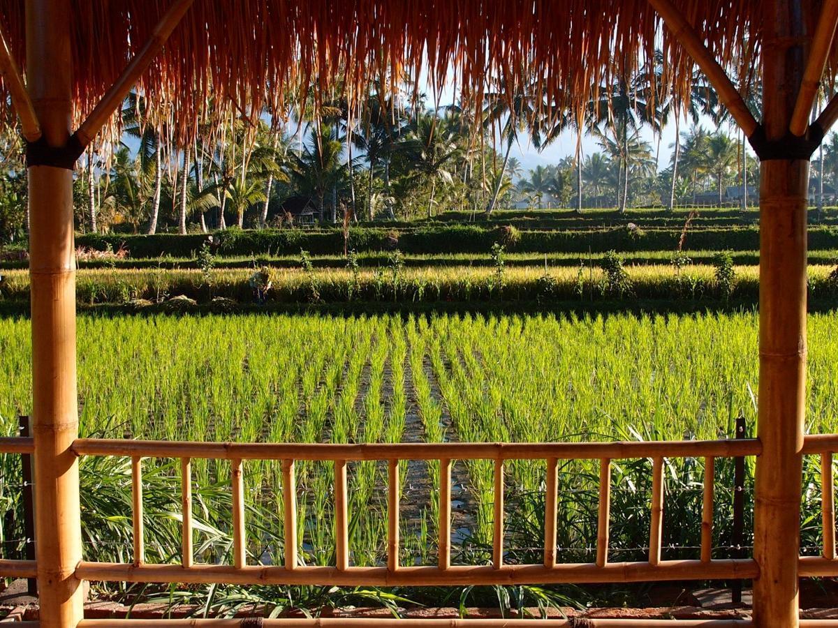 Les Rizieres Lombok - Tetebatu Hotel ภายนอก รูปภาพ